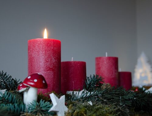 Wir wünschen allen einen schönen ersten Advent!